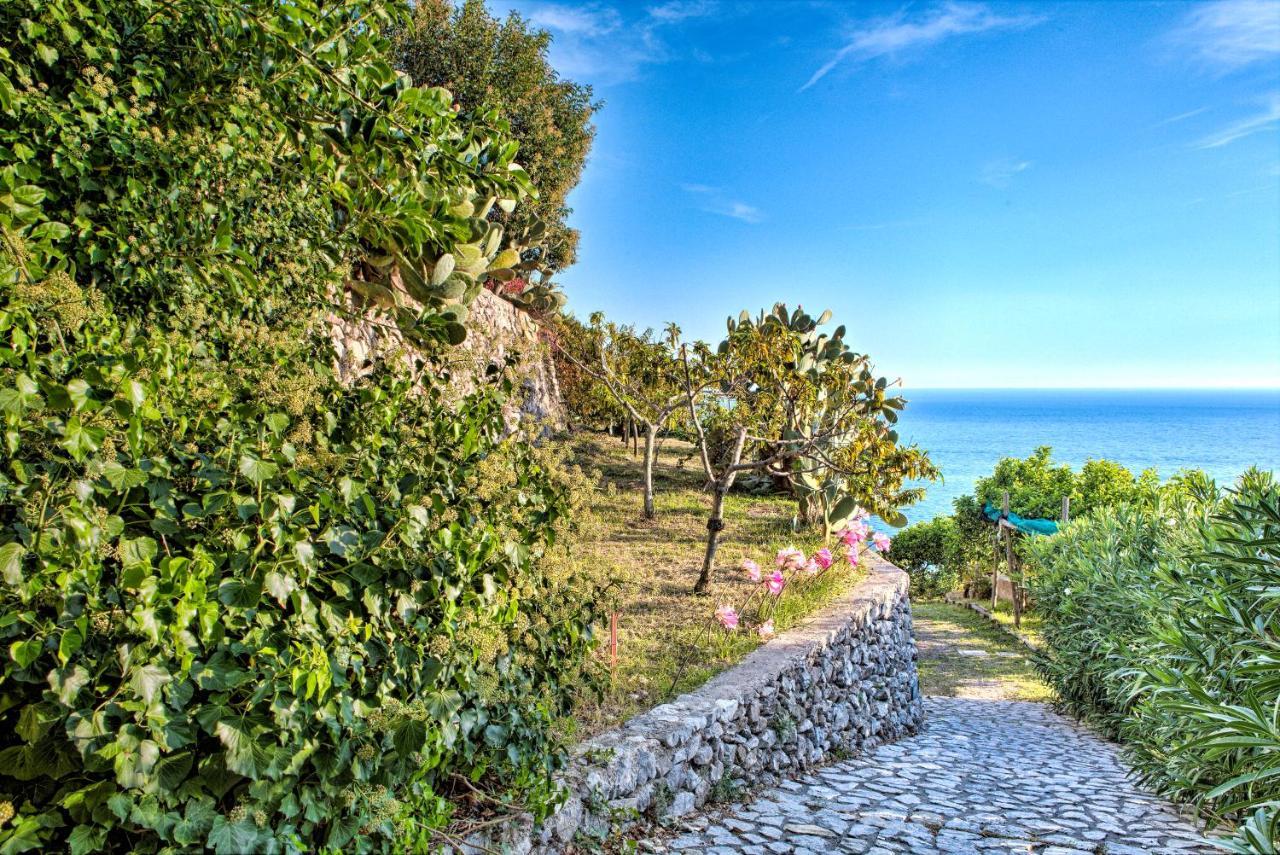 Villa Ad Maiori Kültér fotó